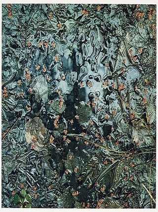 Item #23792 Portfolio One. The Seasons. Twelve Original Dye-transfer Prints. Eliot Porter