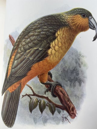 Item #33040 Extinct Birds: An attempt to unite in one volume a short account of those birds that...